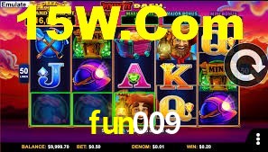 fun009